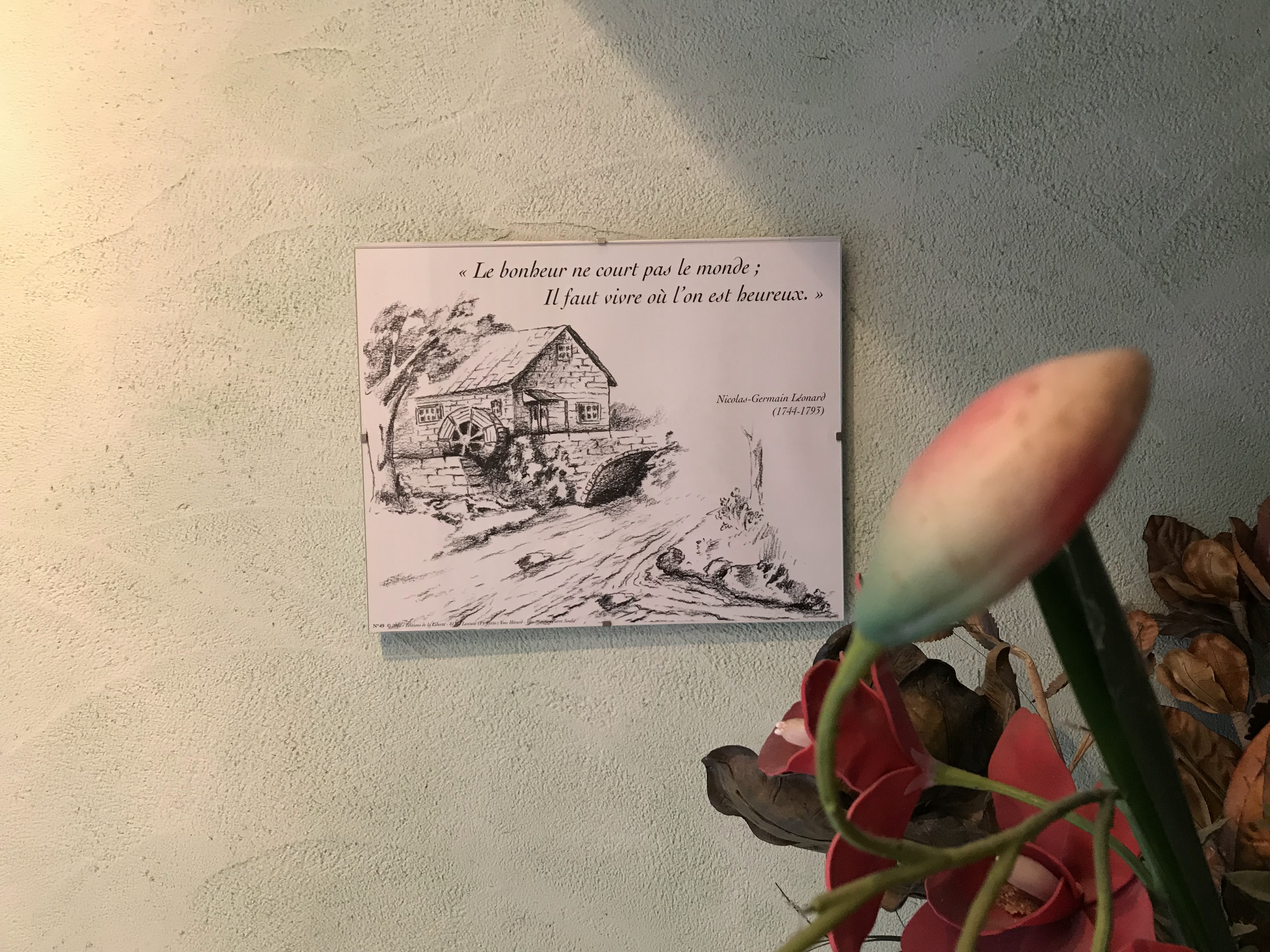 Photo n° 1 de l'avis de Catz.g fait le 29/07/2019 à 08:03