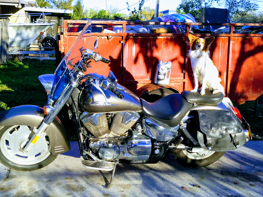 Supermarket «ALDI», reviews and photos, 6700 66th St N, Pinellas Park, FL 33781, USA