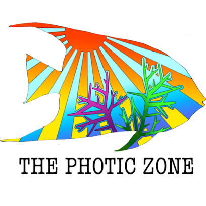 The Photic Zone