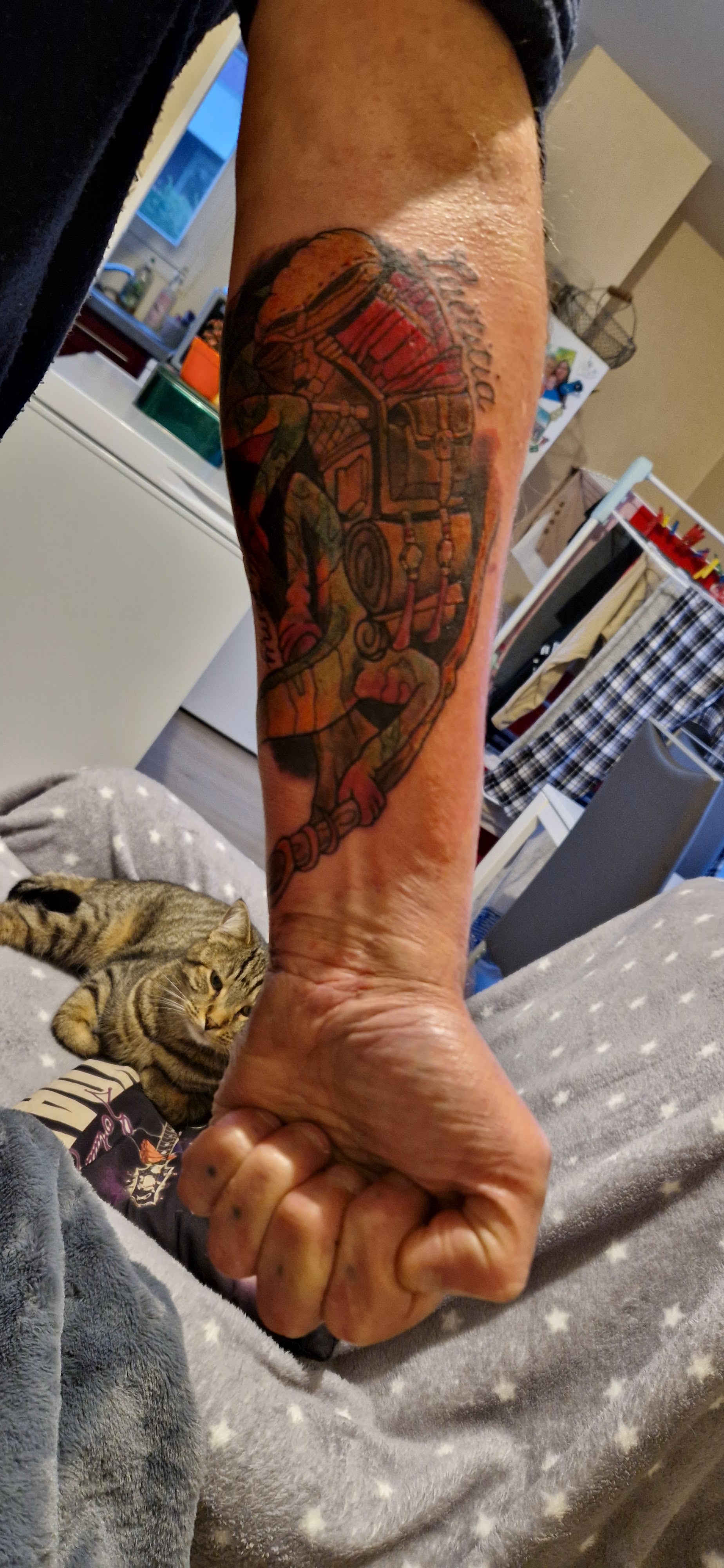 Photo n° 1 de l'avis de Bruno.u fait le 05/12/2022 à 23:35