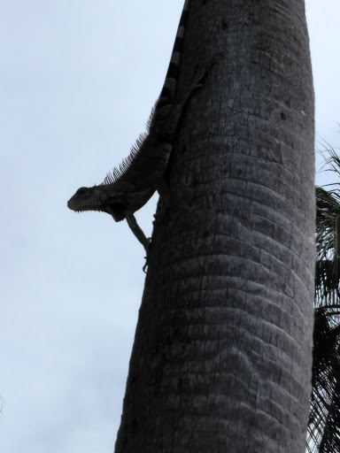 Spa Resort «Spa 66», reviews and photos, 2301 SE 17th St, Fort Lauderdale, FL 33316, USA