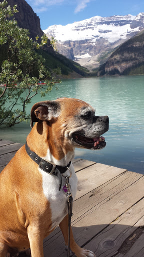 8205 S Holly St, Centennial, CO 80122, USA