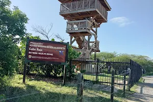 Refugio Nacional de Vida Silvestre de Cabo Rojo image