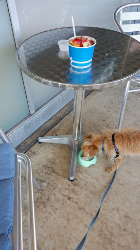 Frozen Yogurt Shop «Arctic Ape Wild Desserts», reviews and photos, 5221 Walzem Rd Suite 1, San Antonio, TX 78218, USA