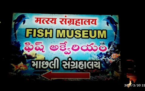 Fish museum image