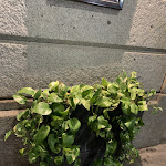 Photo n°3 de l'avis de Lavinia.a fait le 17/10/2022 à 00:27 sur le  VICIOUS Pizza & Deli à Milan