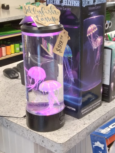 Toy Store «Kaleidoscope Toys», reviews and photos, 2421 Magowan Dr, Santa Rosa, CA 95405, USA