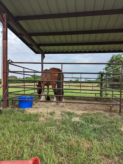 The Derby Equestrian Center at the Mineola Nature Preserve
