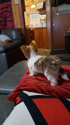 Pet Supply Store «PetSmart», reviews and photos, 4400 Fort Jackson Blvd #300, Columbia, SC 29209, USA