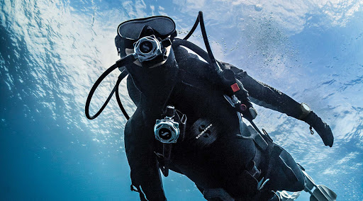 Waiheke Dive and Snorkel