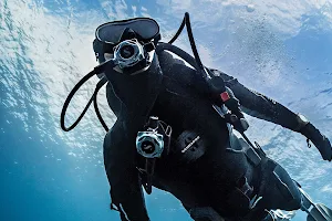 Waiheke Dive and Snorkel image