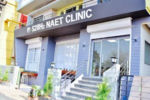 528Hertz NAET Clinic image
