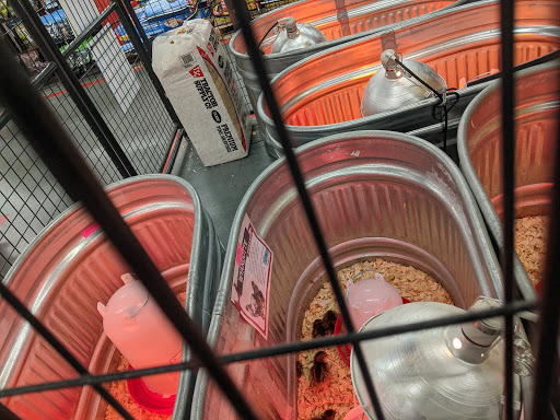 Home Improvement Store «Tractor Supply Co.», reviews and photos, 2754 Saratoga Blvd, Corpus Christi, TX 78415, USA