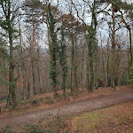 Photo n°4 de l'avis de Wajeehuddin.a fait le 16/02/2019 à 15:50 sur le  Dorint Venusberg Bonn à Bonn