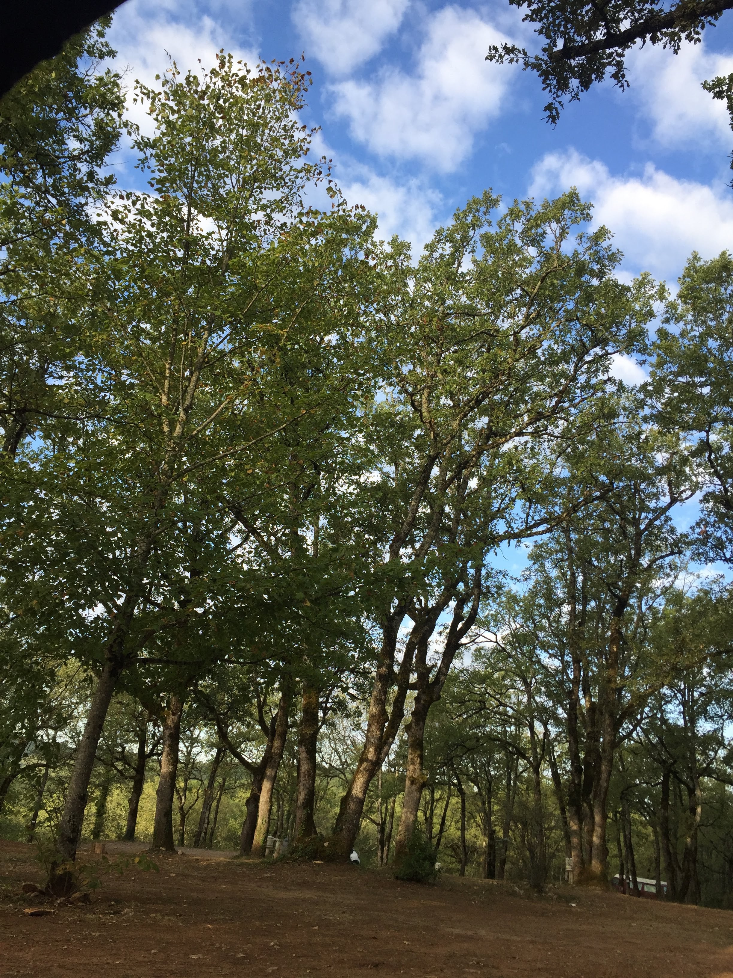 Photo n° 5 de l'avis de cyril.h fait le 09/09/2019 à 09:17