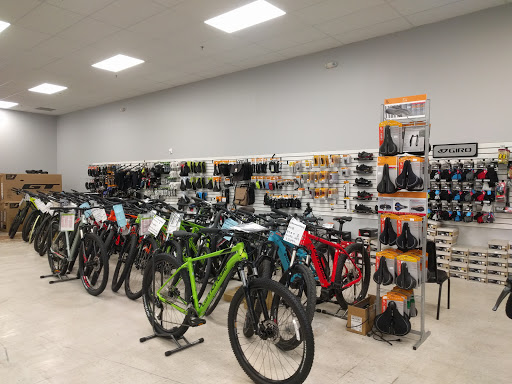 Bicycle Store «Action Bikes», reviews and photos, 1645 Pat Booker Rd, Universal City, TX 78148, USA