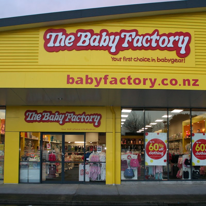 The Baby Factory Albany
