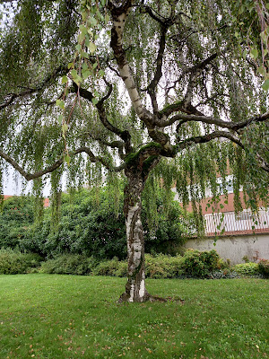 Centre Social Bourgogne à Roanne