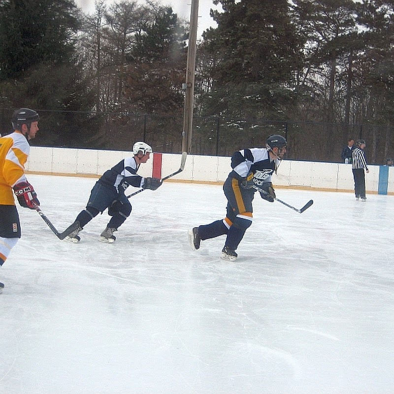 Ottawa Park Ice Rink