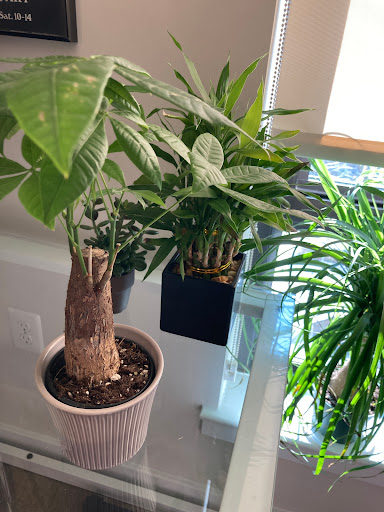 Hardware Store «Cherrydale Hardware Inc», reviews and photos, 3805 Lee Hwy, Arlington, VA 22207, USA