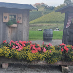 Photo n°8 de l'avis de Jamila.l fait le 30/10/2023 à 20:39 sur le  Château de Staufenberg à Durbach