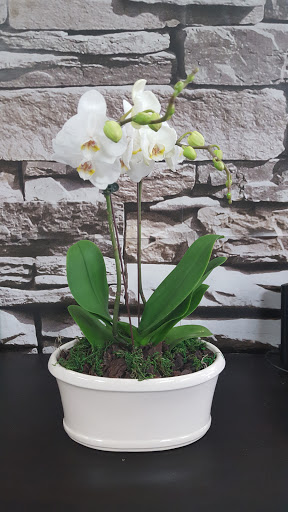 Florist «The Flower Cart», reviews and photos, 2515 N Scottsdale Rd, Scottsdale, AZ 85257, USA