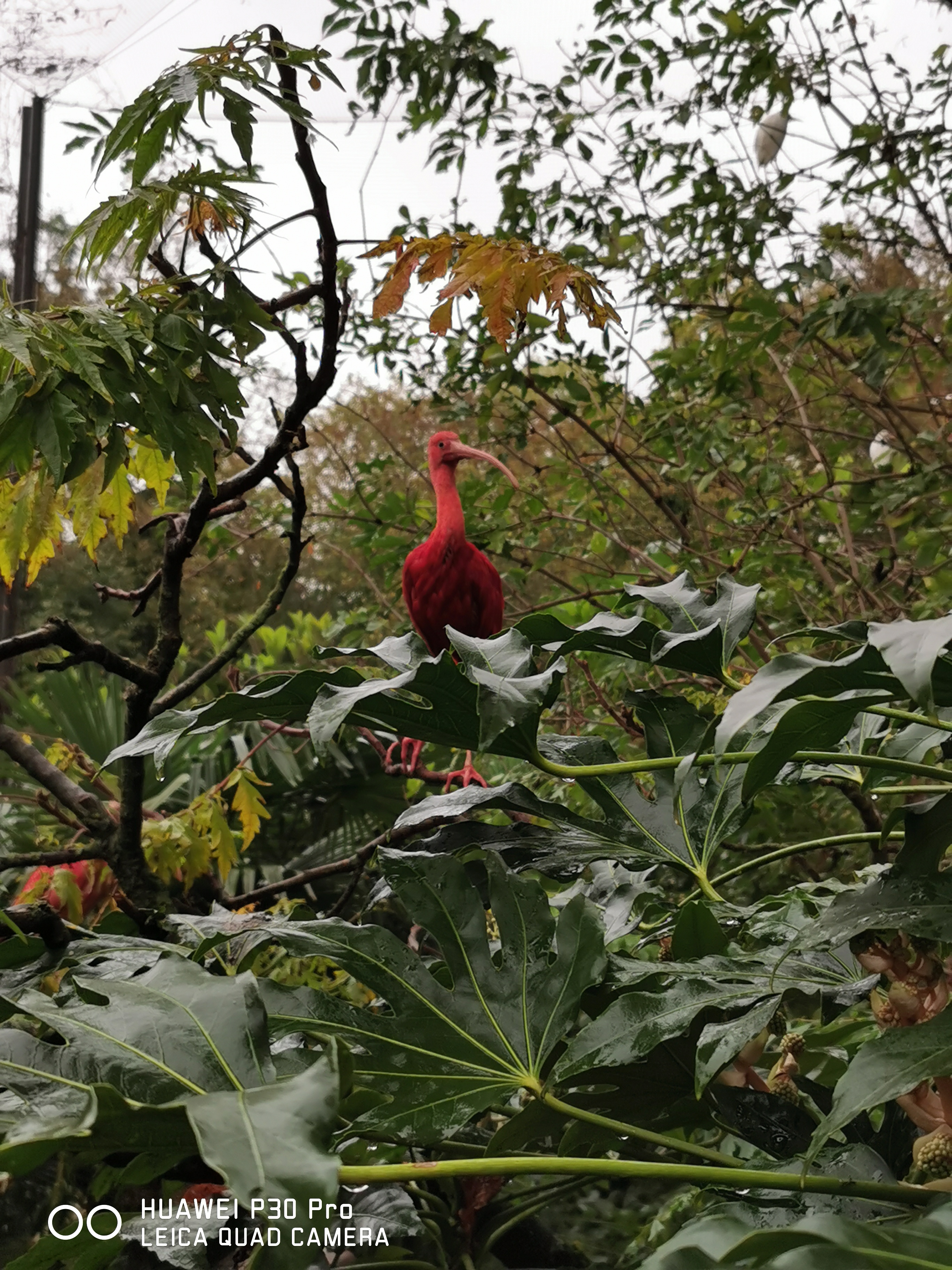 Photo n° 7 de l'avis de sulivan.u fait le 30/10/2023 à 12:42