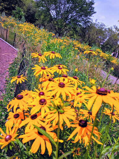 Park «Welles Park», reviews and photos, 2333 W Sunnyside Ave, Chicago, IL 60625, USA