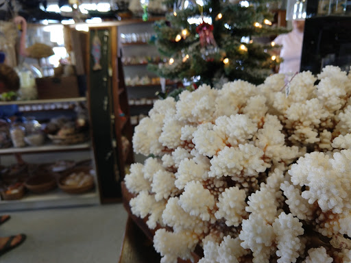 Gift Shop «Sea Shell Shoppe», reviews and photos, 120 N Austin St, Rockport, TX 78382, USA