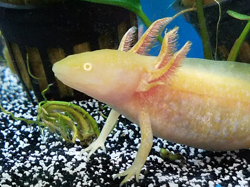 Pet Supply Store «Petco Animal Supplies», reviews and photos, 10 Sylvan St, Peabody, MA 01960, USA