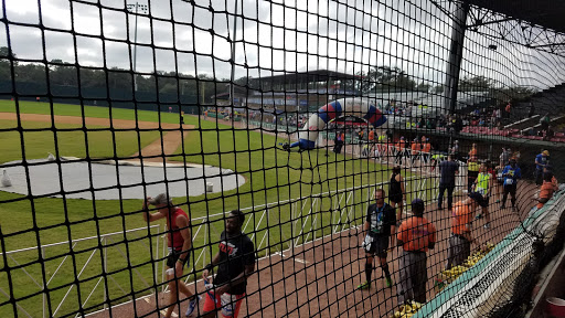 Baseball field Savannah