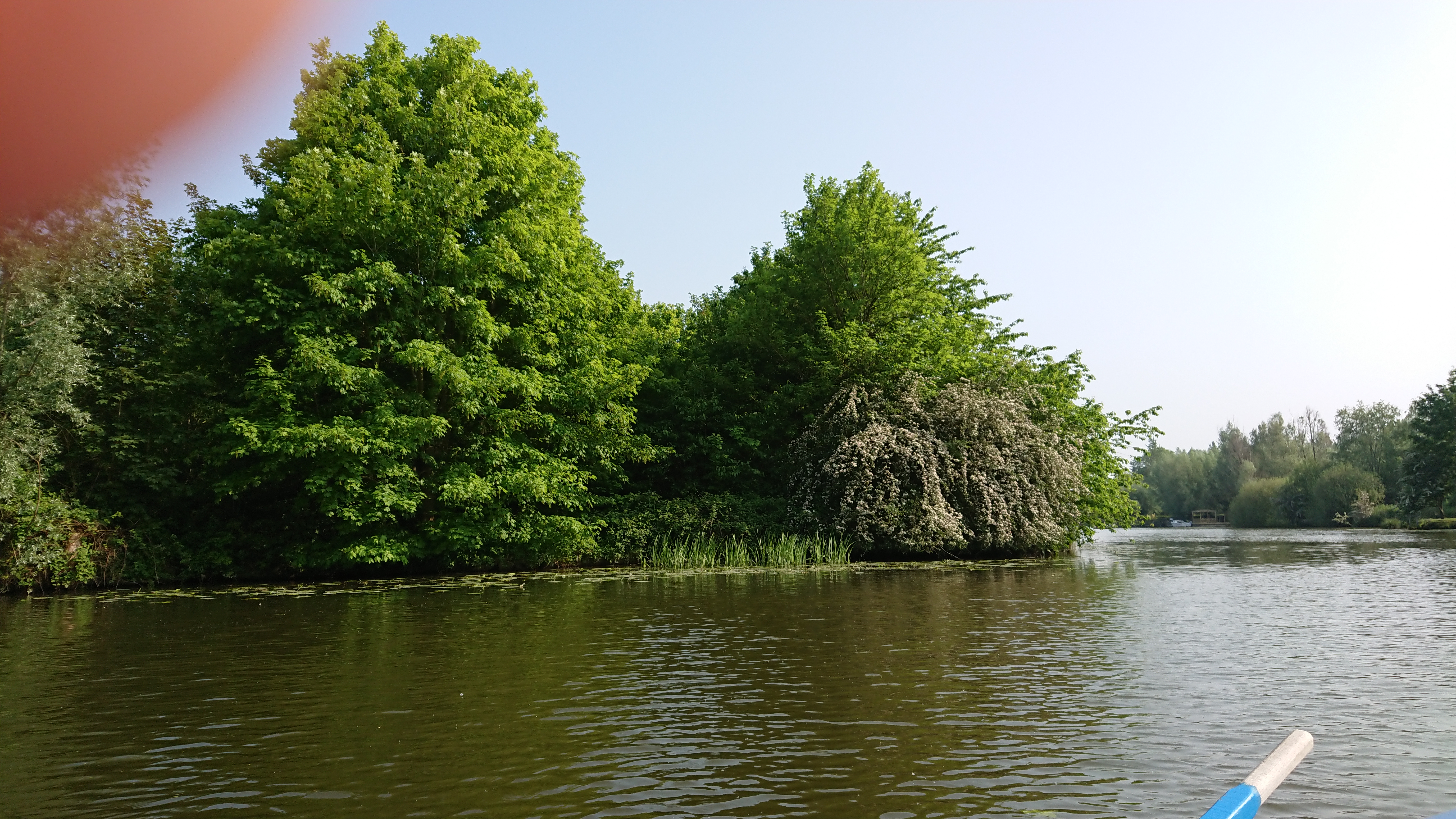 Photo n° 3 de l'avis de Perso.e fait le 20/05/2018 à 16:43