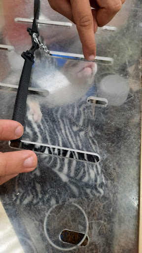 Pet Supply Store «Pet Supermarket», reviews and photos, 1800 W 68th St #140, Hialeah, FL 33014, USA