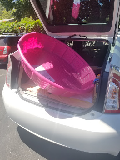 Sporting Goods Store «Big 5 Sporting Goods - Chico», reviews and photos, 1717 Mangrove Ave, Chico, CA 95926, USA