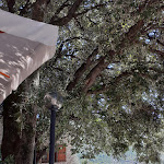 Photo n°1 de l'avis de Orsola.a fait le 13/09/2020 à 17:27 sur le  Restaurant Hotel Fontanelle à Campello sul Clitunno