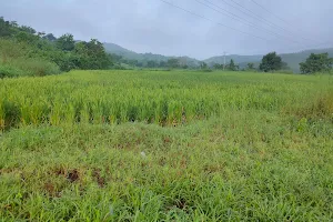 Nalambi View point image