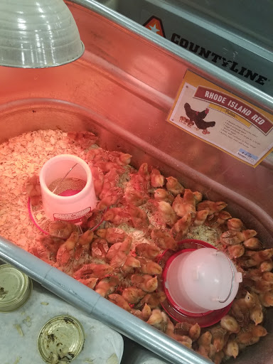 Home Improvement Store «Tractor Supply Co.», reviews and photos, 378 Elmira Rd, Ithaca, NY 14850, USA