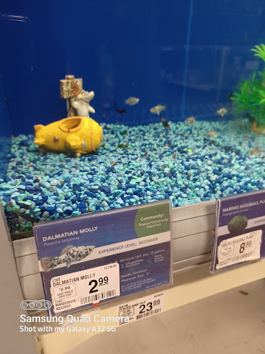 Pet Supply Store «PetSmart», reviews and photos, 15555 E 14th St, San Leandro, CA 94578, USA