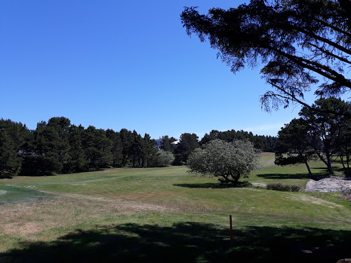 Golf Course «Manzanita Golf Course», reviews and photos, Lakeview Dr, Manzanita, OR 97130, USA