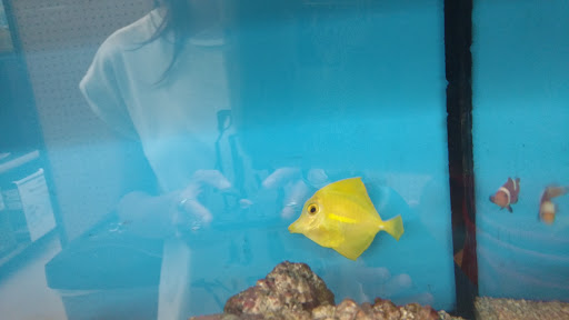 Pet Supply Store «Petco Animal Supplies», reviews and photos, 1121 5th St, Miami Beach, FL 33139, USA