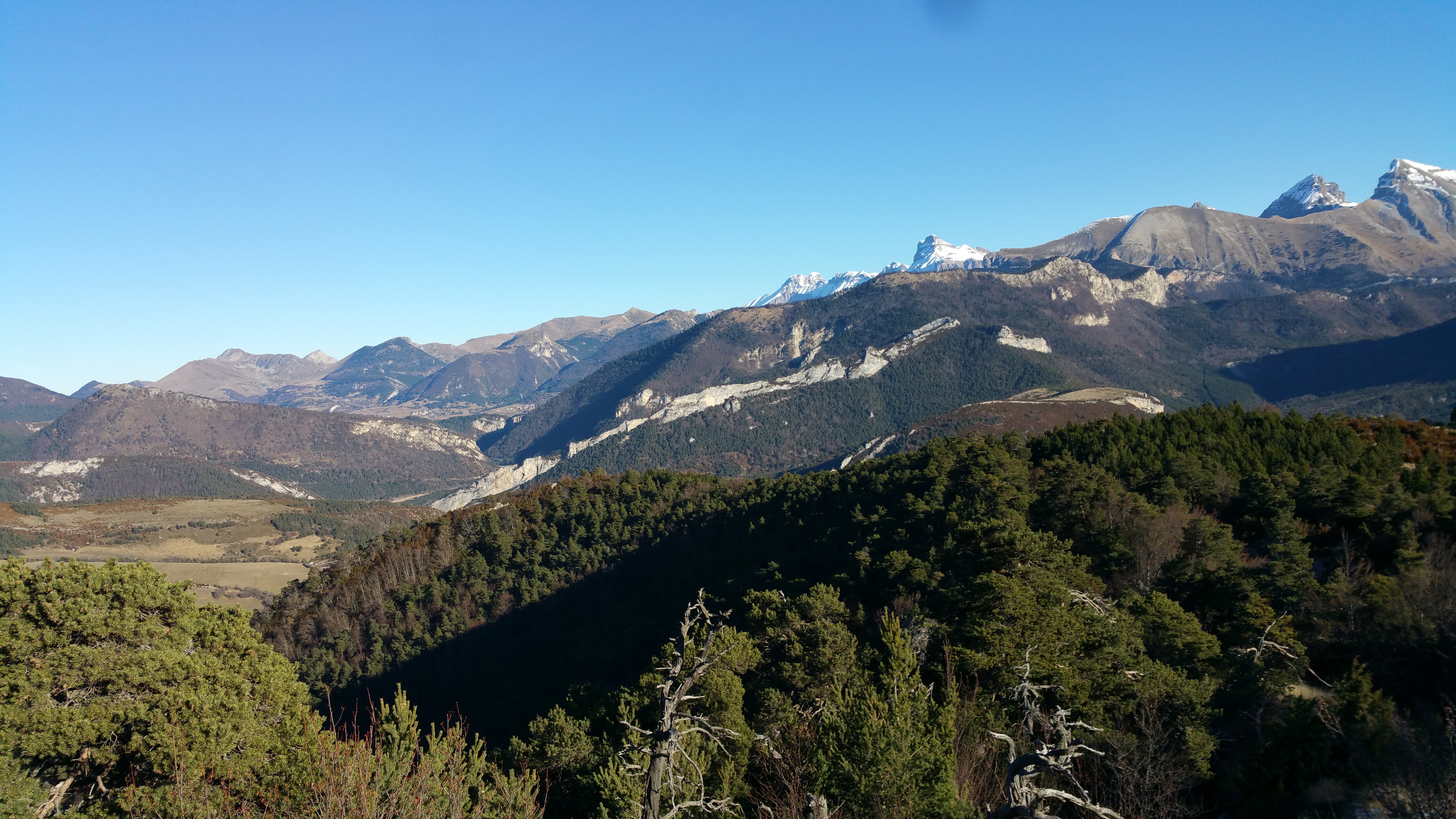 Photo n° 4 de l'avis de Pierro.e fait le 06/08/2017 à 07:43