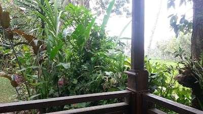 Photos of Tanah Cinta Village