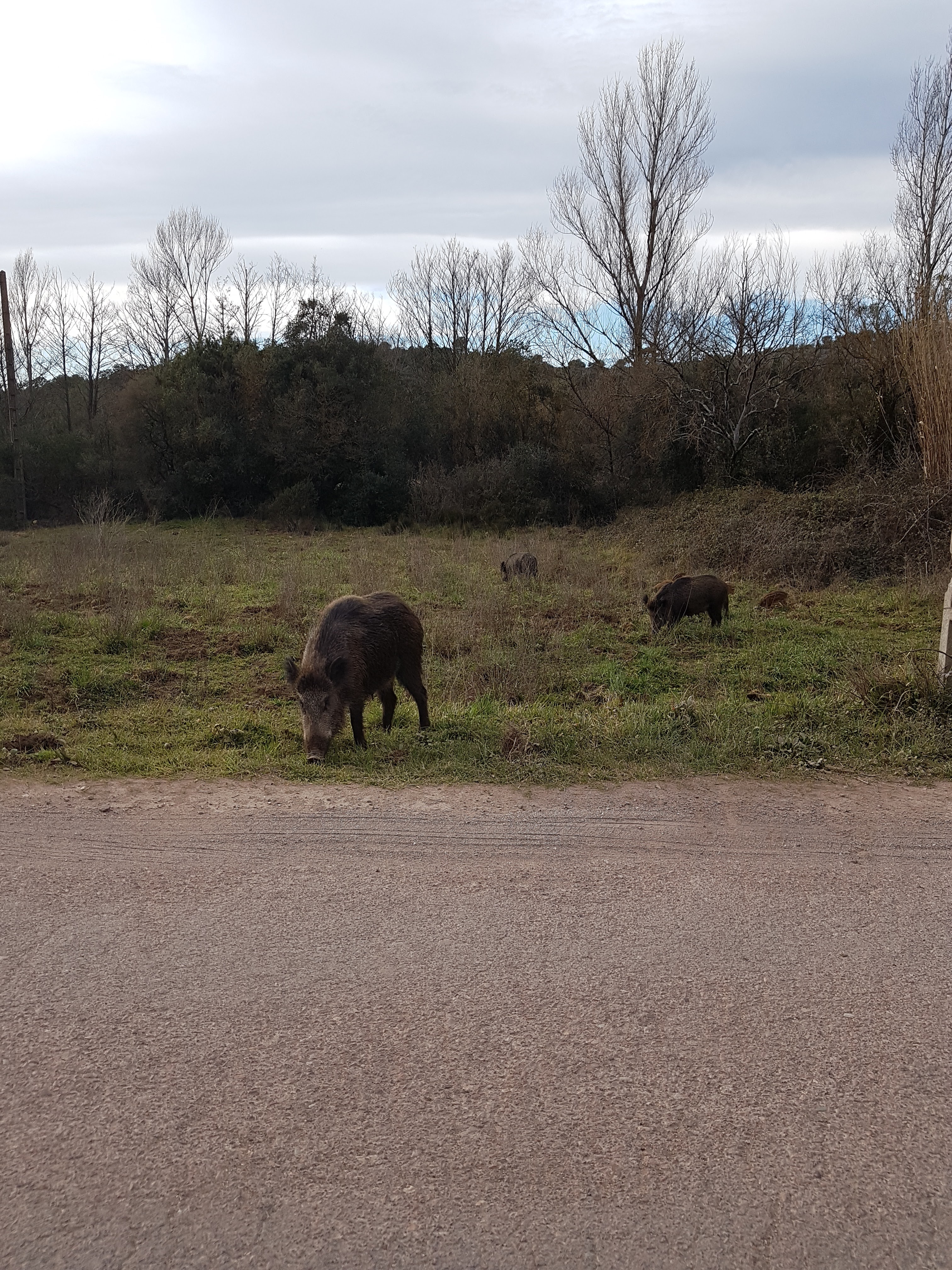 Photo n° 4 de l'avis de Michel.a fait le 06/03/2019 à 20:00
