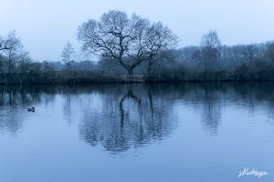 Eastrington Ponds Nature Reserve image