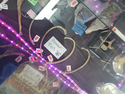 Boutique «Spoox : A Spooky Bootique», reviews and photos, 3453 State St, Salt Lake City, UT 84115, USA