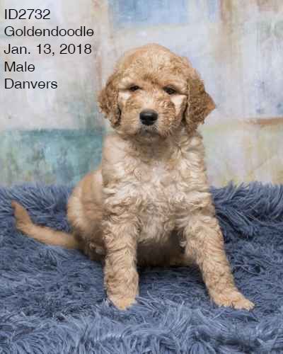 Pet Store «Pet Express», reviews and photos, 250 Granite St, Braintree, MA 02184, USA