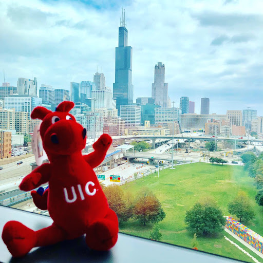 Public University «University of Illinois at Chicago», reviews and photos