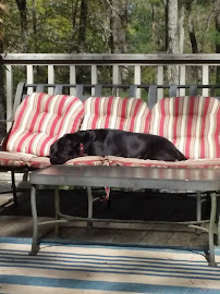 Happy Tails Country Club East - Photo 9 - Car repair in Fletcher, NC, Asheville