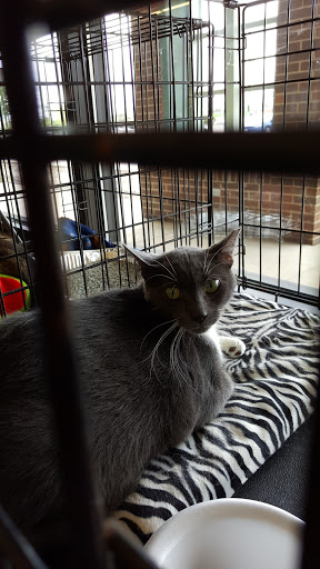 Pet Supply Store «Pet Supplies Plus», reviews and photos, 9 Waukegan Rd, Deerfield, IL 60015, USA