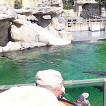 Photo n° 2 de l'avis de chambon.l fait le 10/06/2023 à 08:00 pour L'Odyssée des Lions de Mer à Saint-Aignan